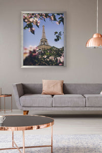 Paris con flores - Stock