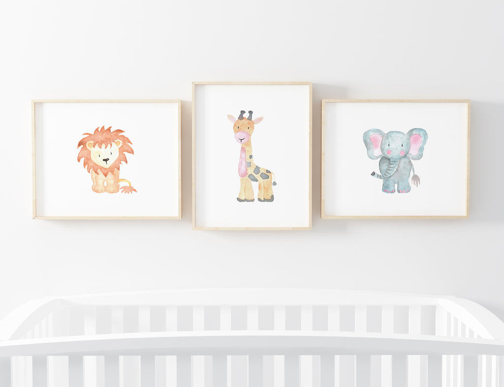 Elefante Baby - Stock