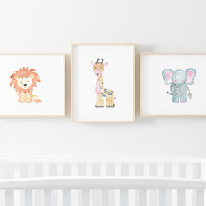 Elefante Baby - Stock