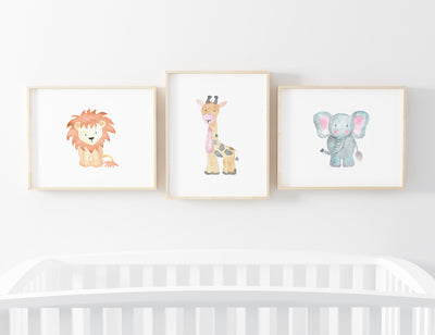 Elefante Baby - Stock