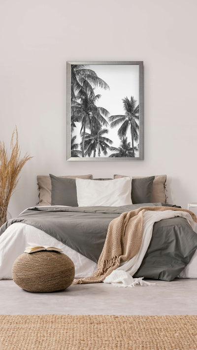 Palmera Blanco y Negro