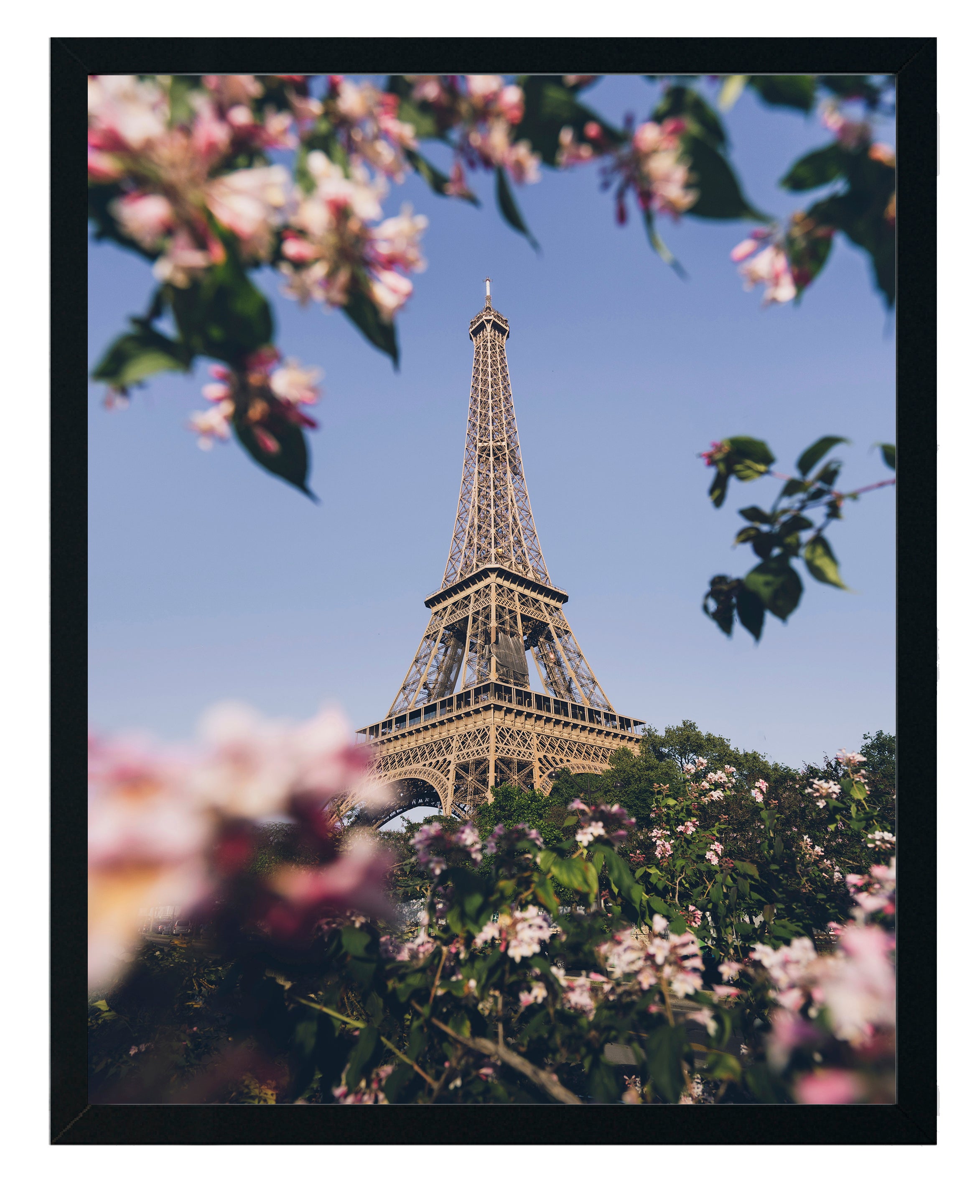 Paris con flores
