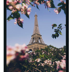 Paris con flores
