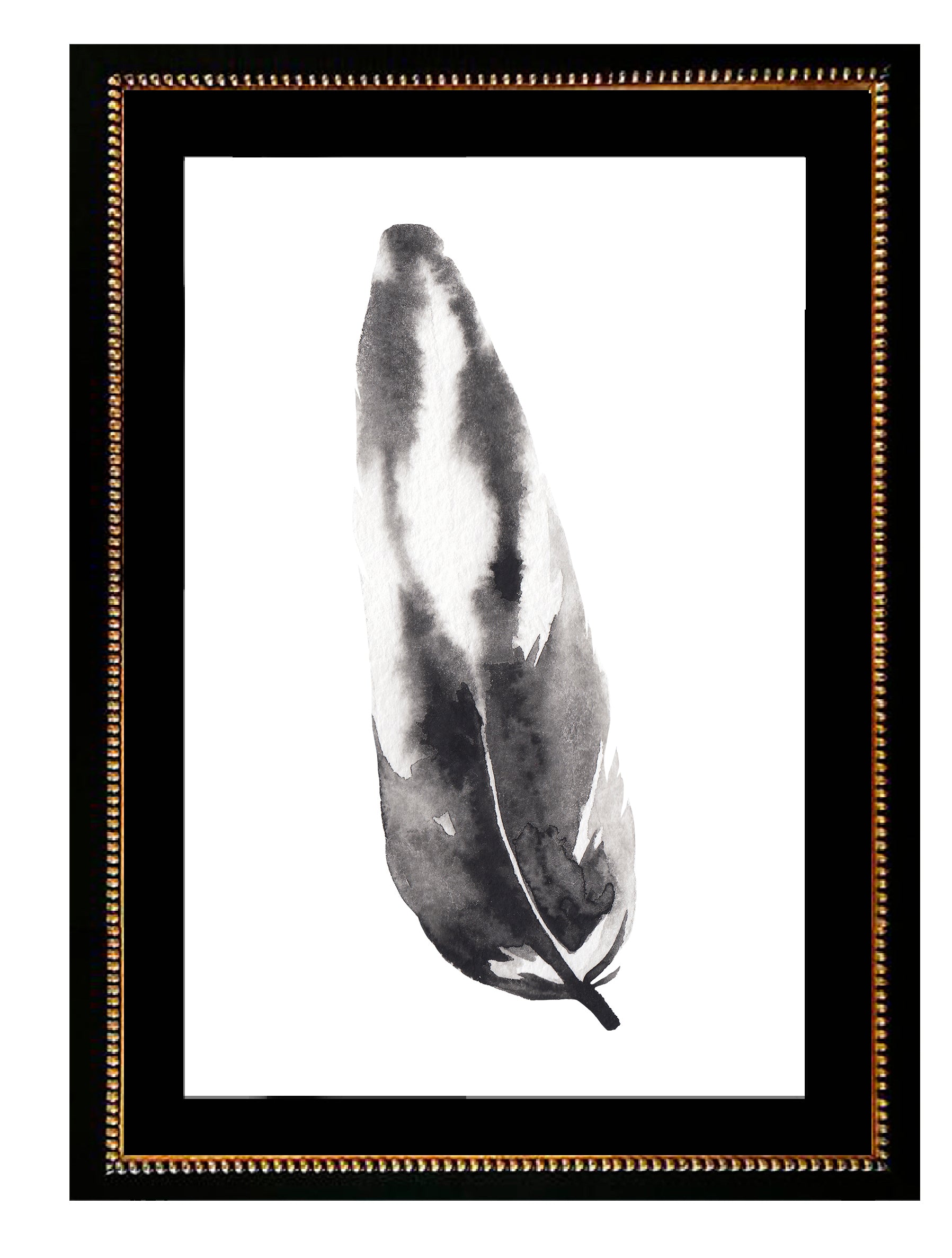 Plumas Aqua I