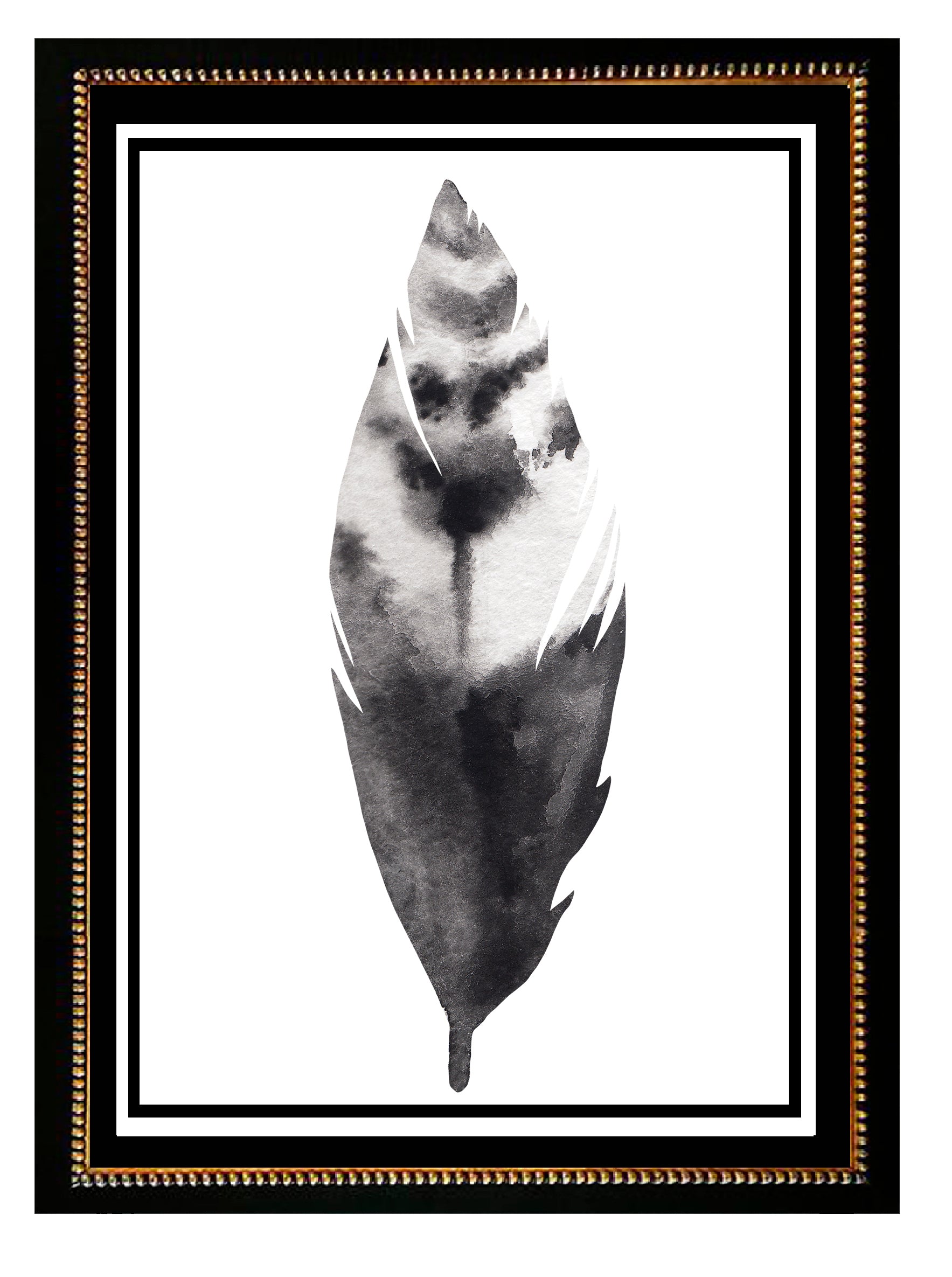 Plumas Aqua IV