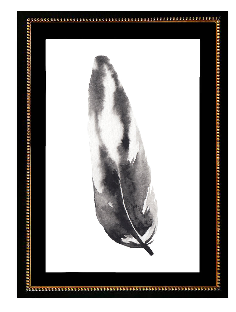 Plumas Aqua I