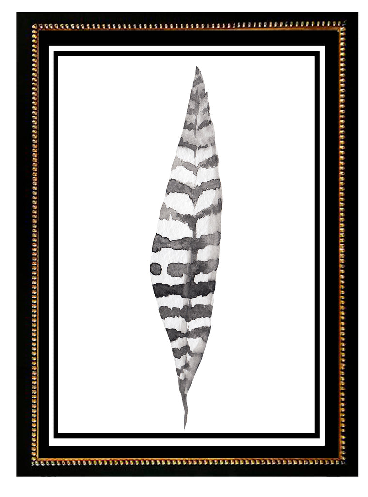Plumas Aqua III