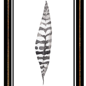 Plumas Aqua III