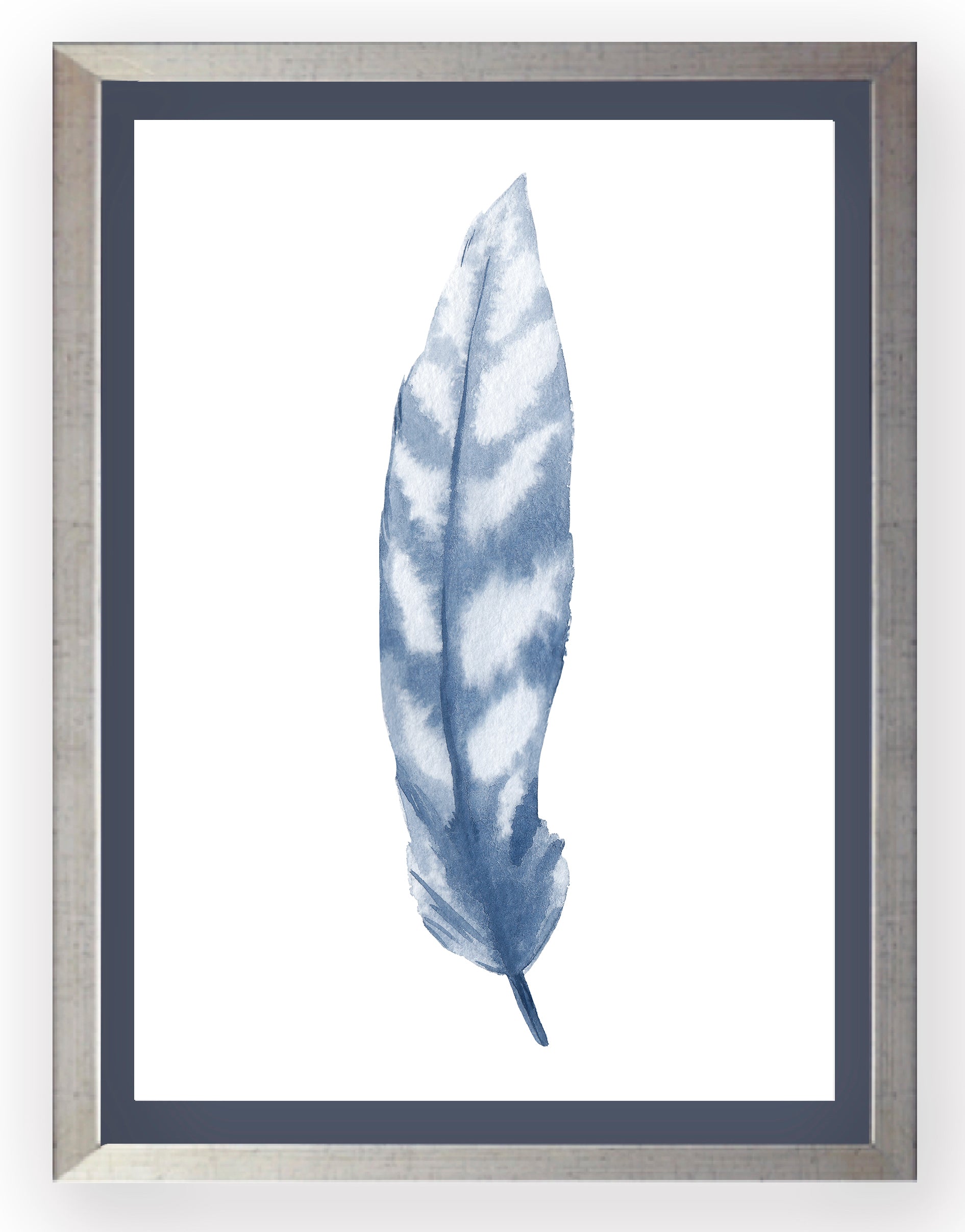 Plumas Azules I