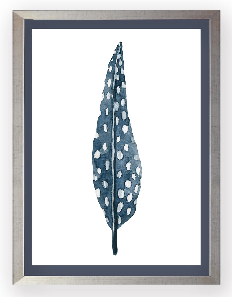 Plumas Azules III