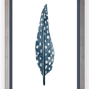 Plumas Azules III