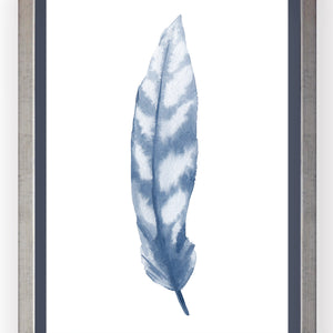 Plumas Azules I