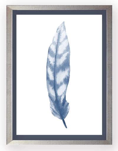 Plumas Azules I