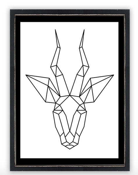 Antilope Nordico
