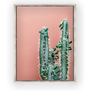 Cactus Rosa