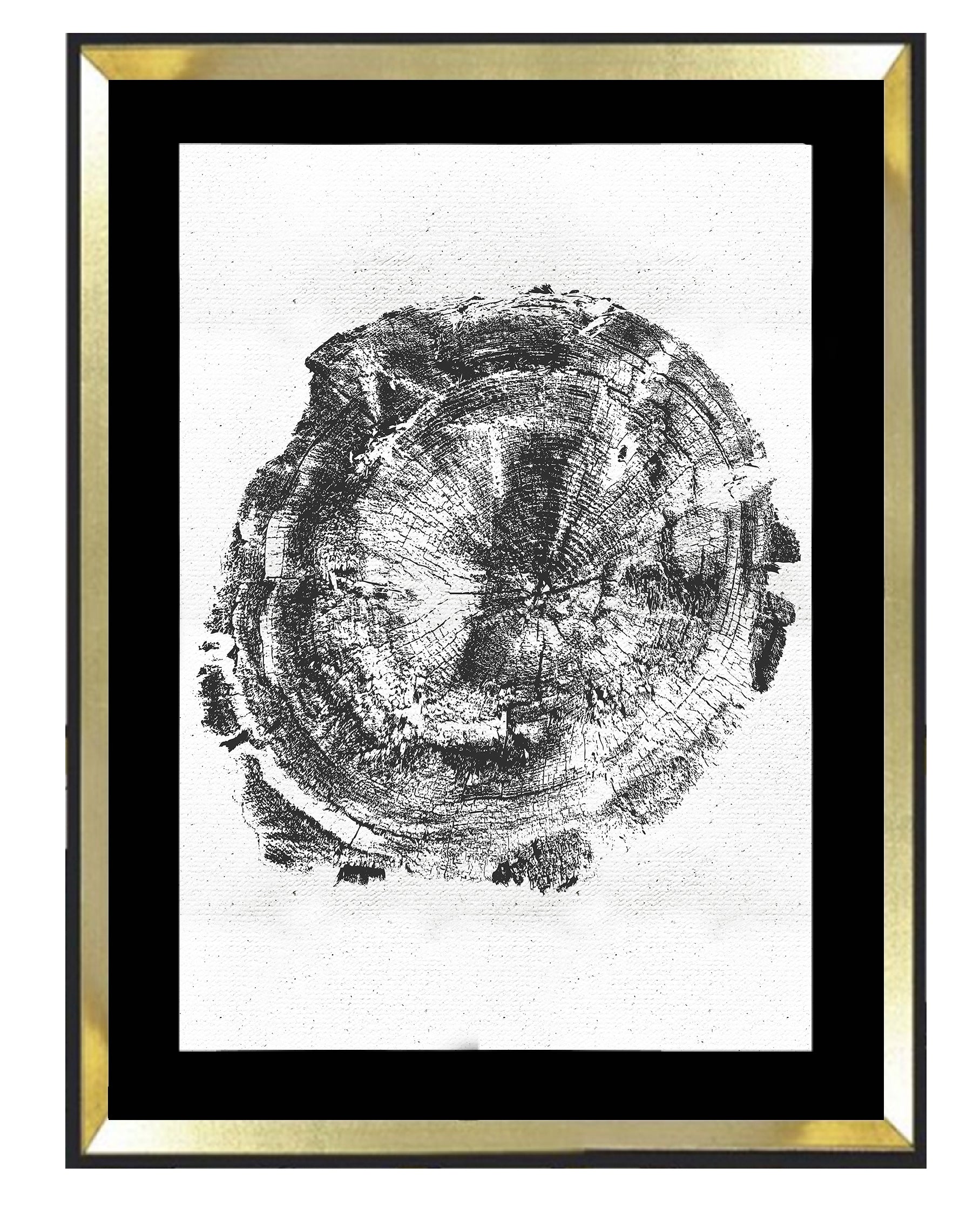 Tronco fondo blanco 1 - MN