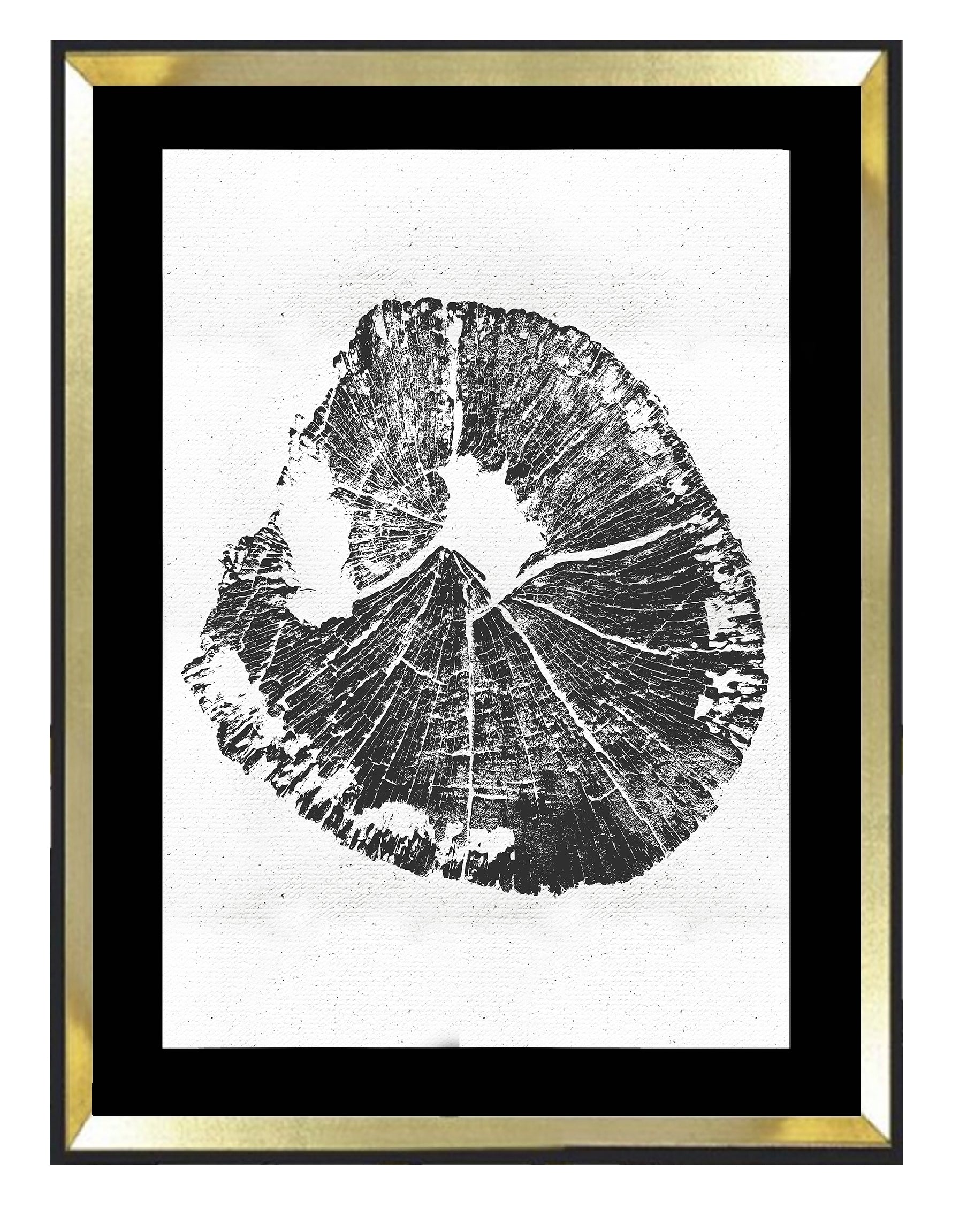 Tronco fondo blanco 2 - MN