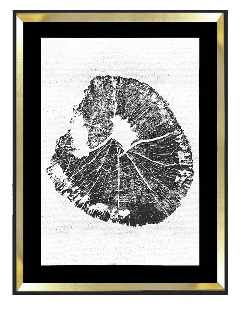 Tronco fondo blanco 2 - MN