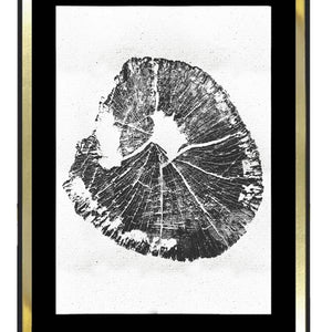 Tronco fondo blanco 2 - MN