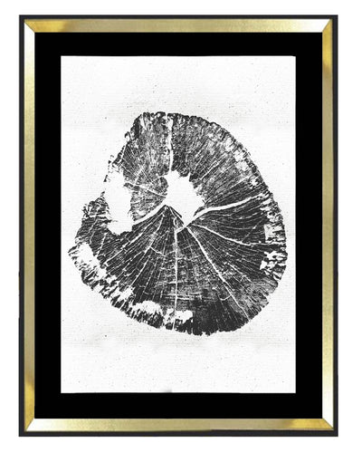 Tronco fondo blanco 2 - MN