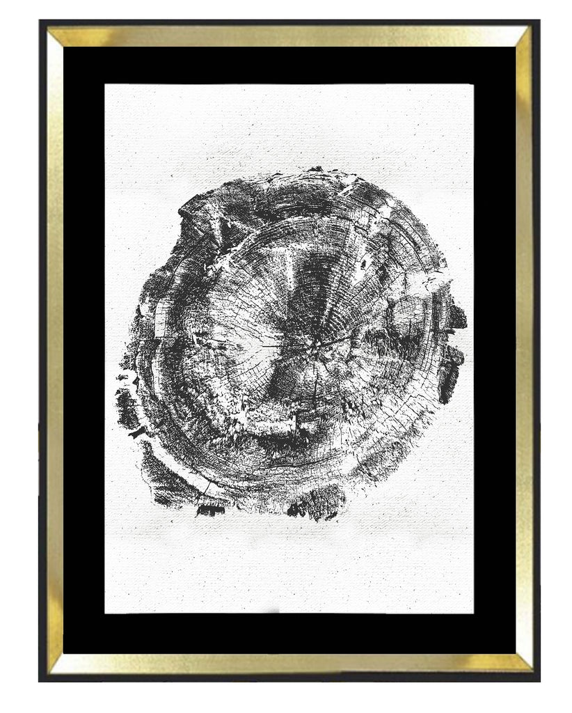 Tronco fondo blanco 1 - MN