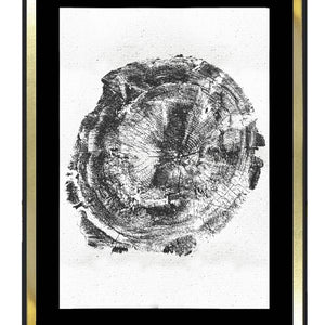 Tronco fondo blanco 1 - MN