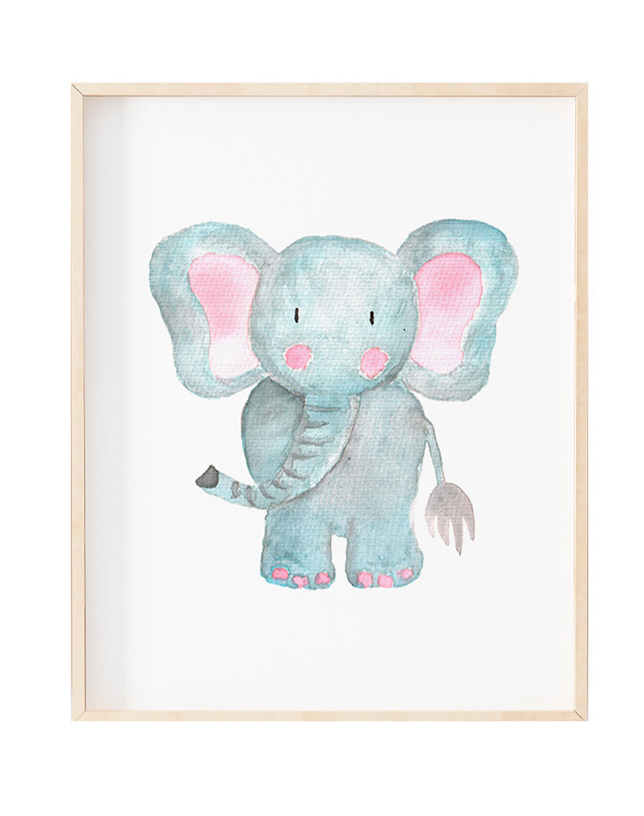 Elefante Baby - Stock