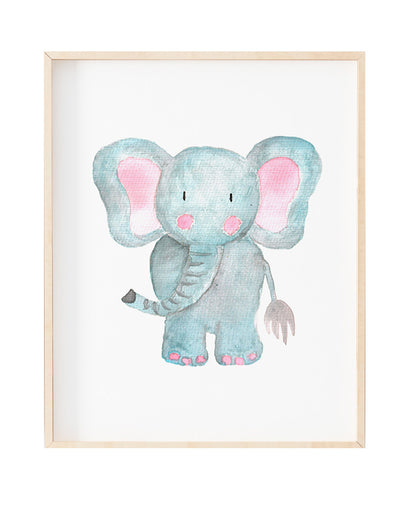 Elefante Baby - Stock