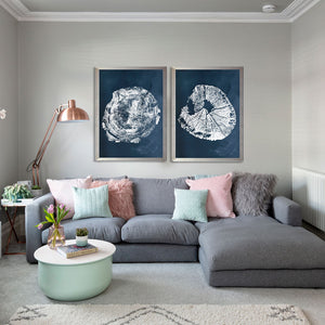 Tronco Fondo Azul II