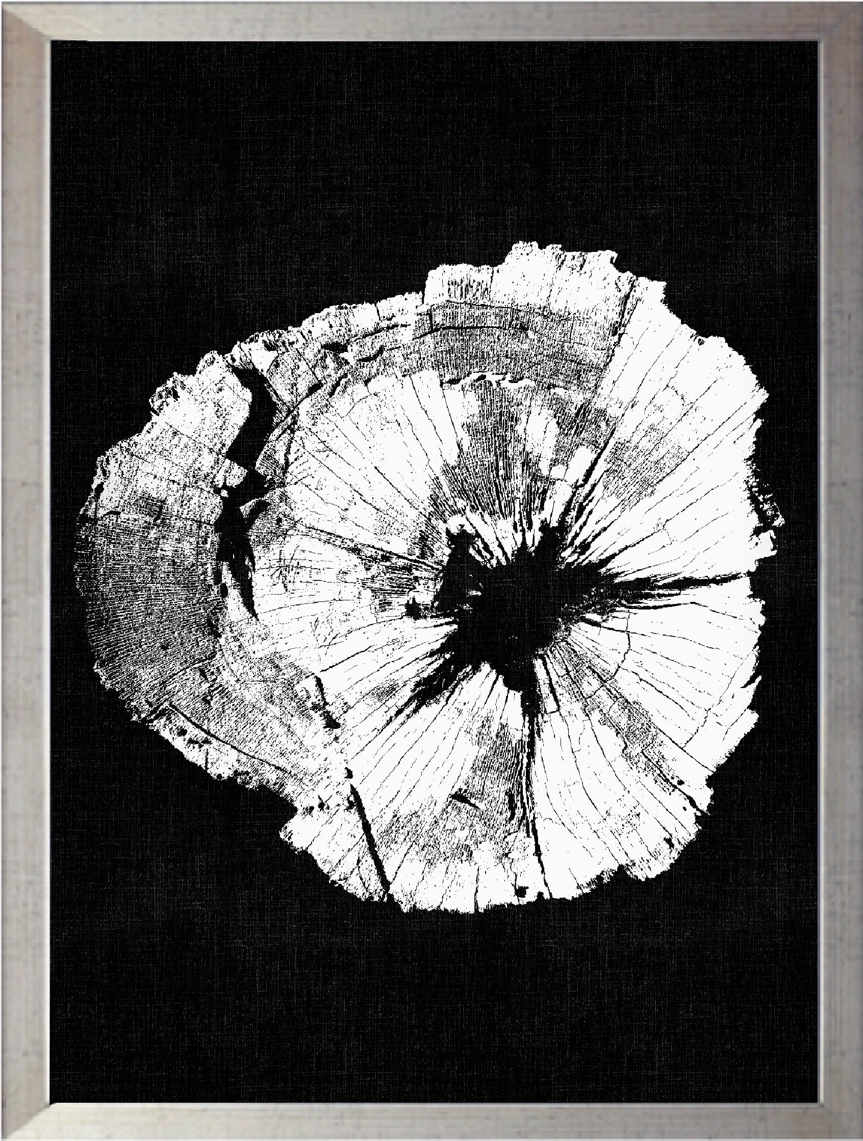 Tronco Fondo Negro  II