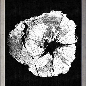 Tronco Fondo Negro  II