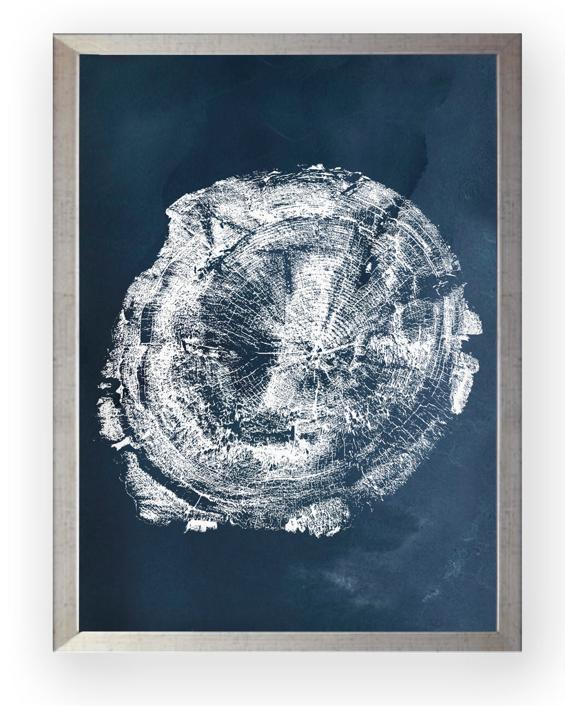 Tronco Fondo Azul II