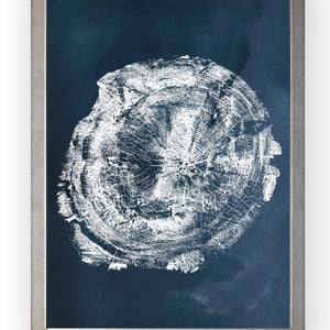 Tronco Fondo Azul II