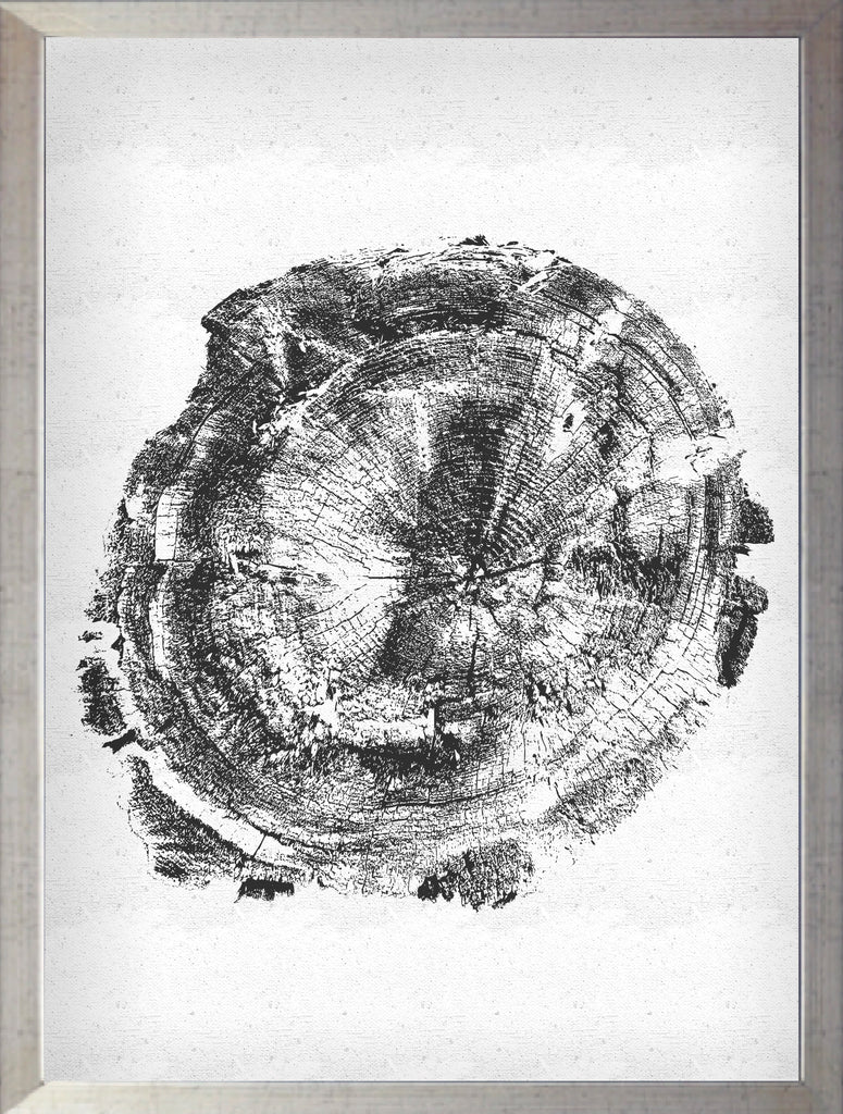 Tronco Fondo Blanco I