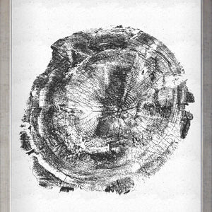 Tronco Fondo Blanco I