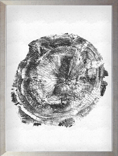 Tronco Fondo Blanco I